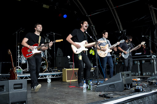 Splendour2015_DomHenry_0098_TheSwiines